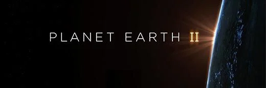 Planet Earth II S01 E03 Jungles big poster