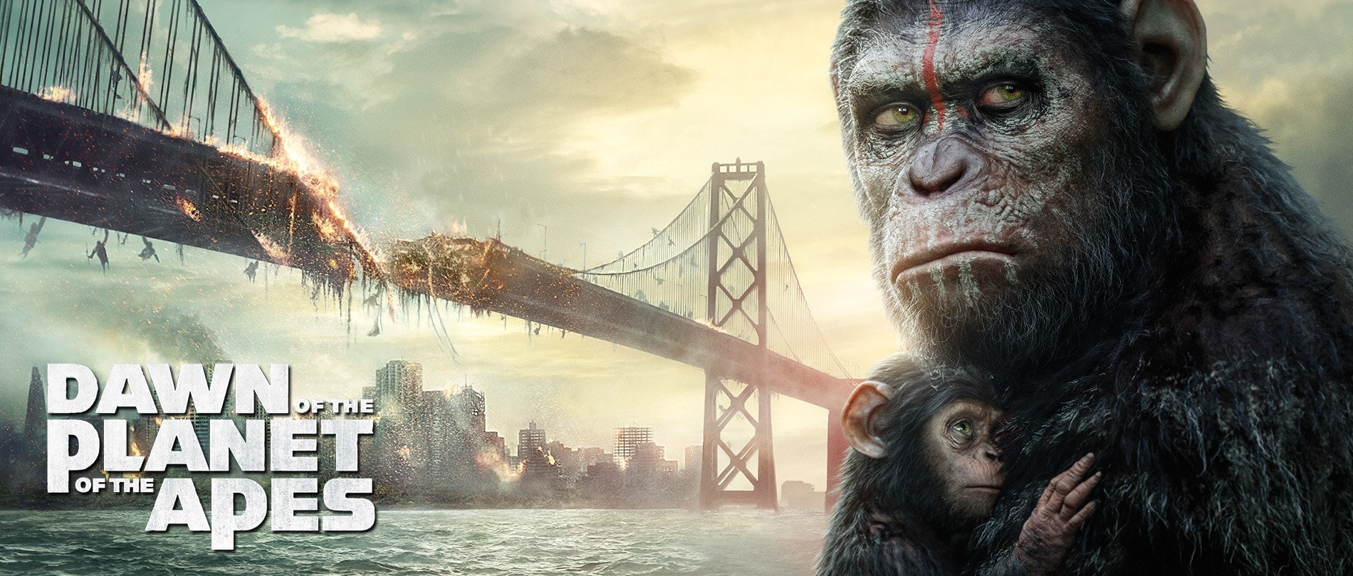 Dawn of the Planet of the Apes 4K 2014 big poster