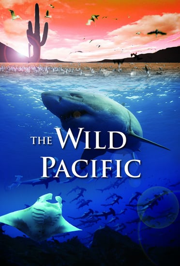 The Wild Pacific 4K 2016