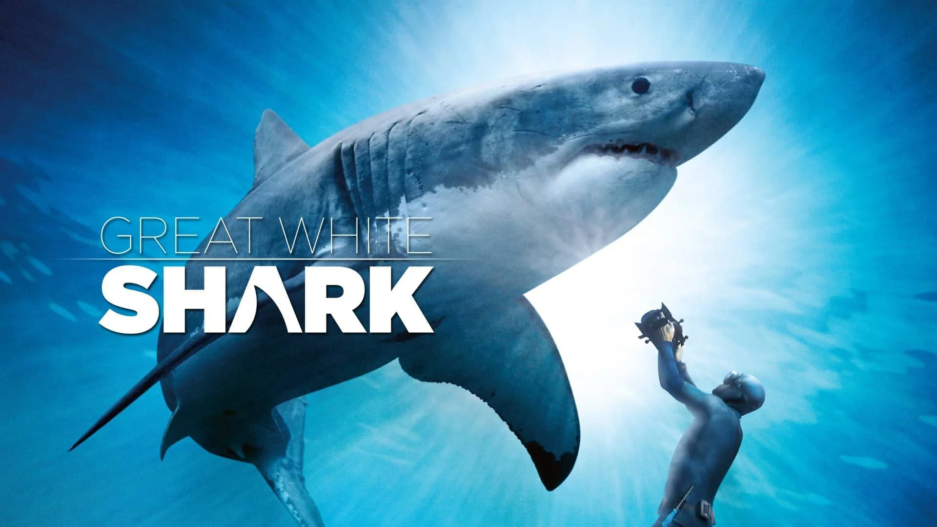 Great White Shark 4K 2013 DOCU big poster