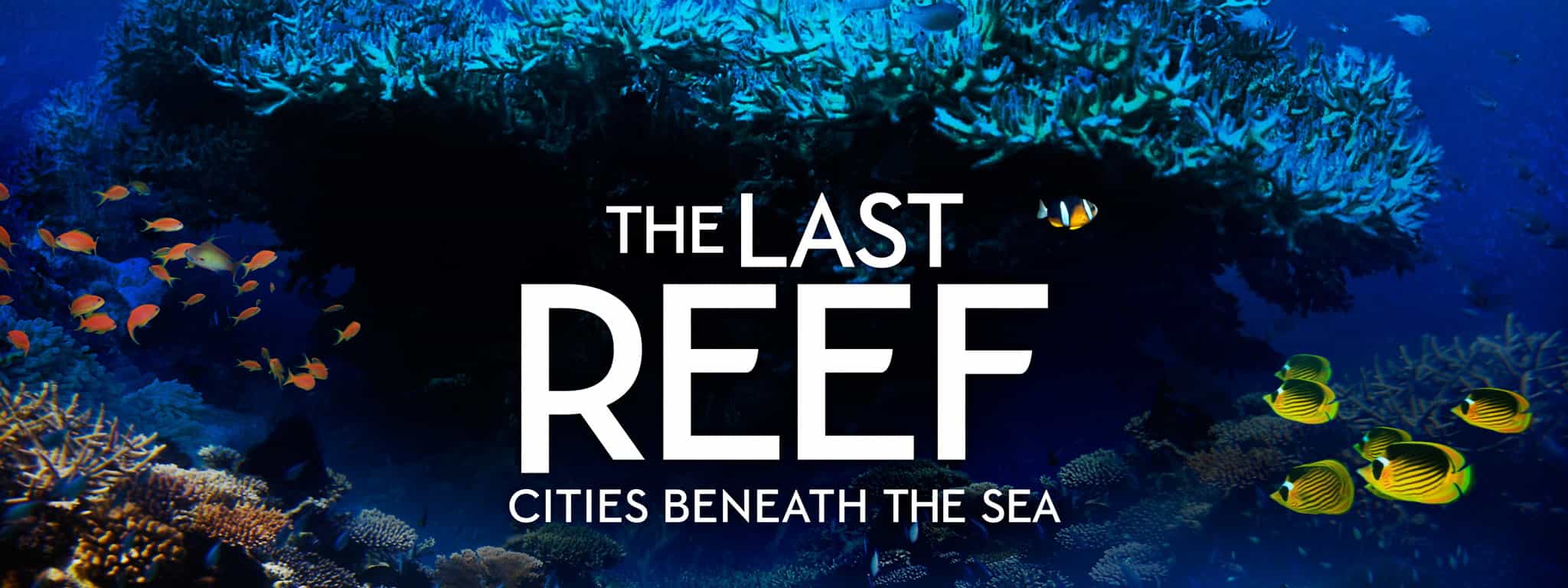 The Last Reef: Cities Beneath the Sea 4K 2012 big poster