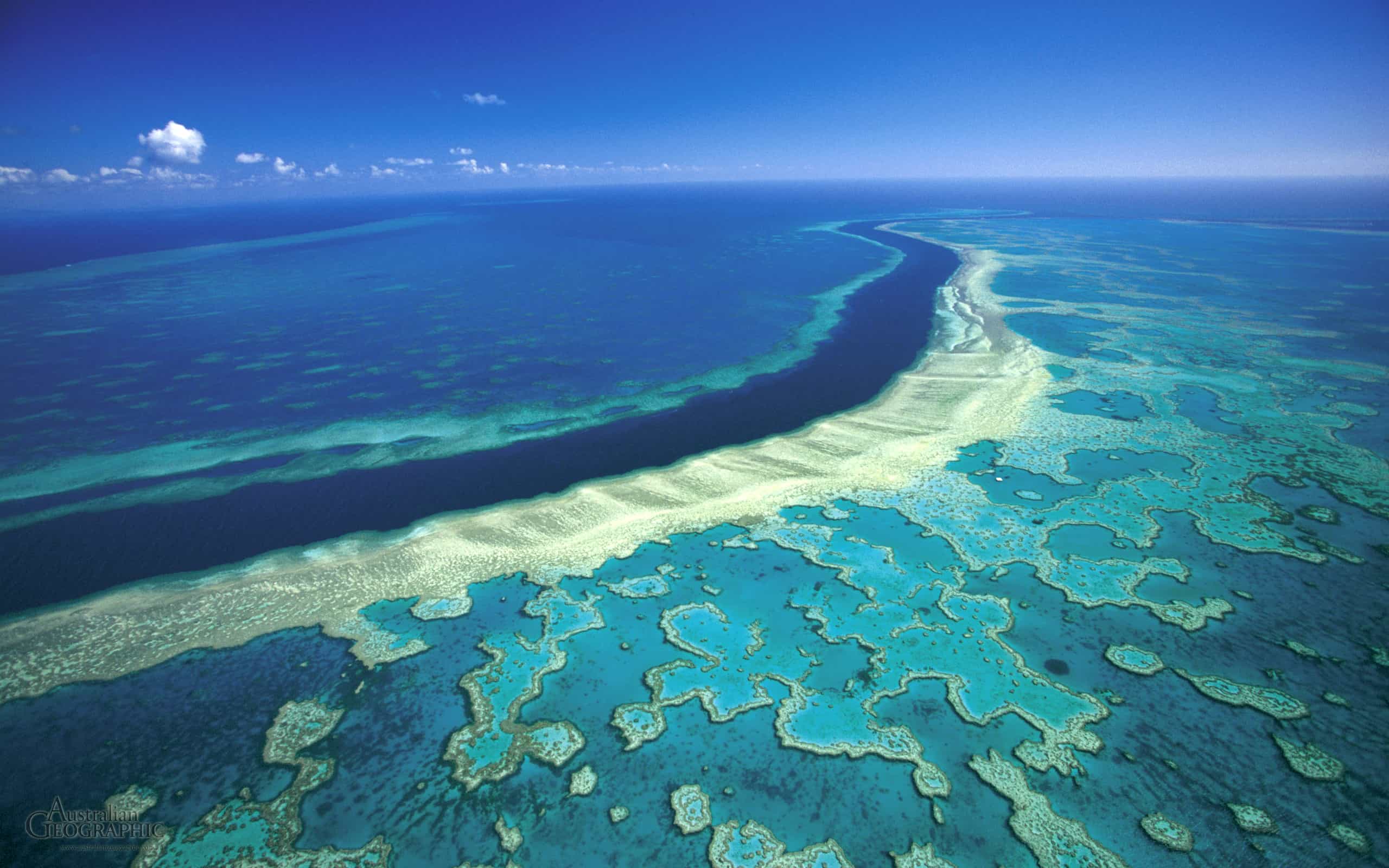 The Great Barrier Reef 4K 1999 big poster