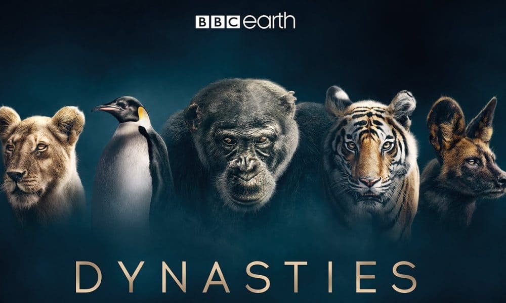 Dynasties S01 4K 2018 big poster