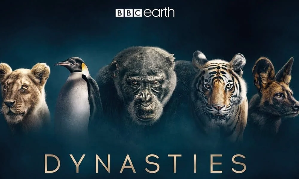 Dynasties S01 4K 2018 big poster