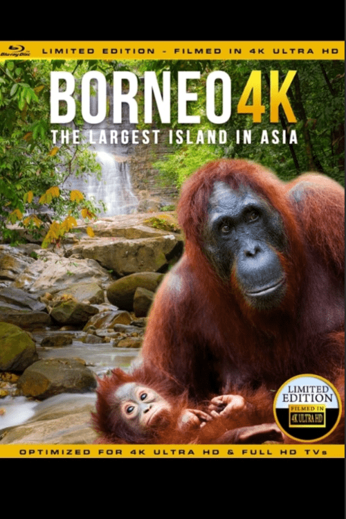 Borneo: The Fascination of Asia 4K 2017 DOCU
