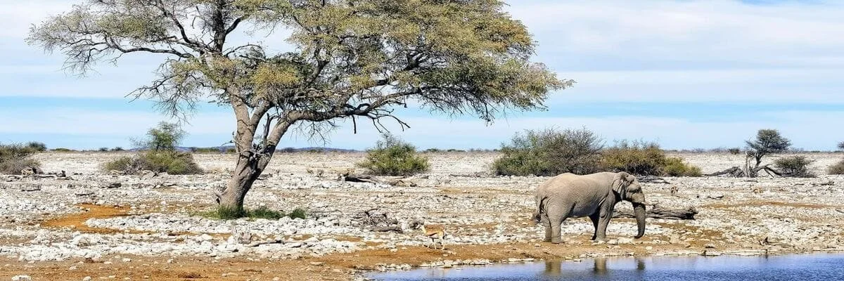 Namibia The Spirit of Wilderness 4K 2016 DOCU big poster