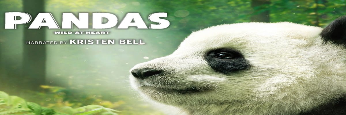 Pandas 4K 2018 DOCU big poster