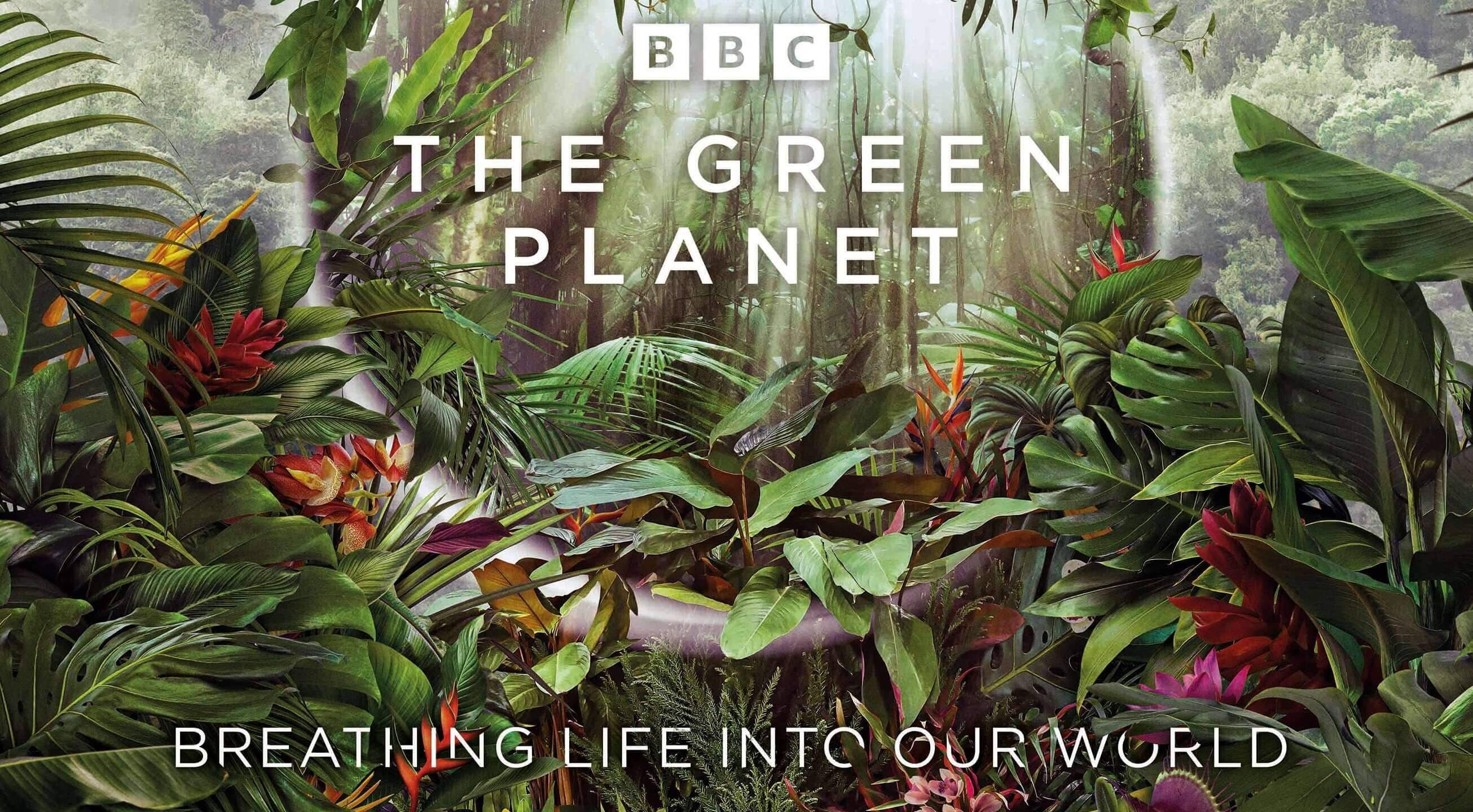 The Green Planet S01 4K 2022 big poster