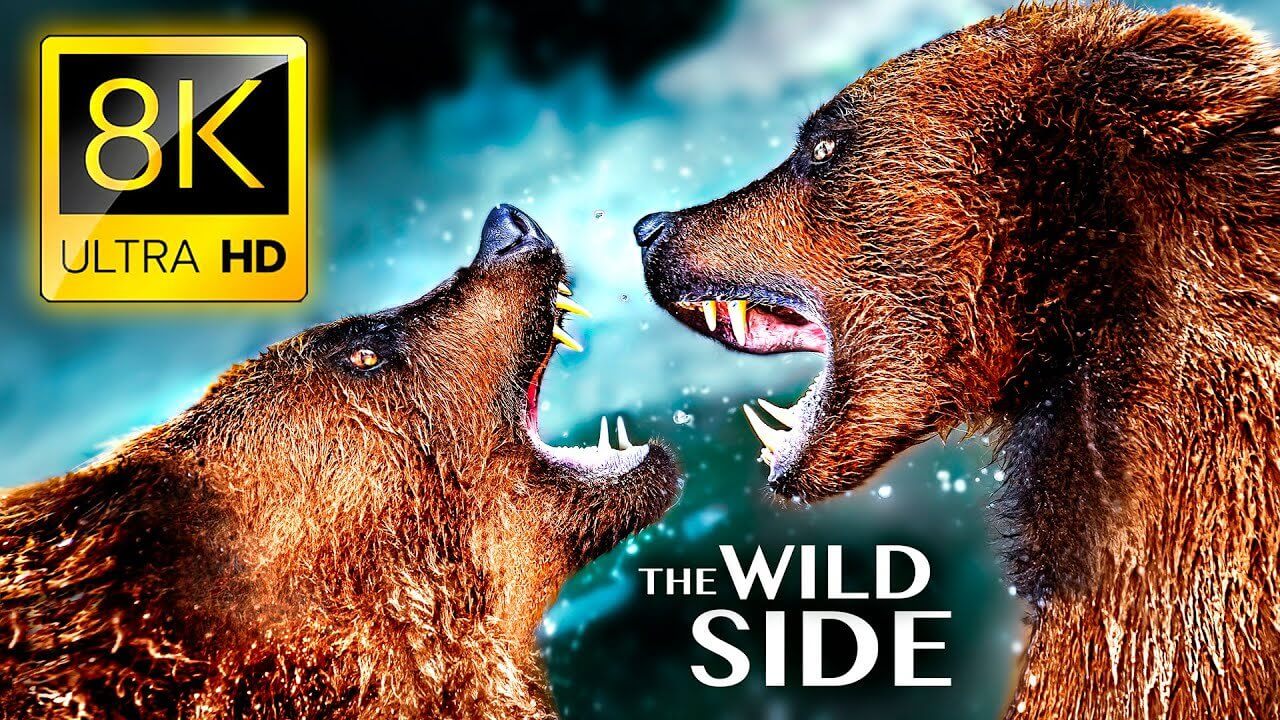 THE WILD SIDE OF ANIMALS 8K ULTRA HD