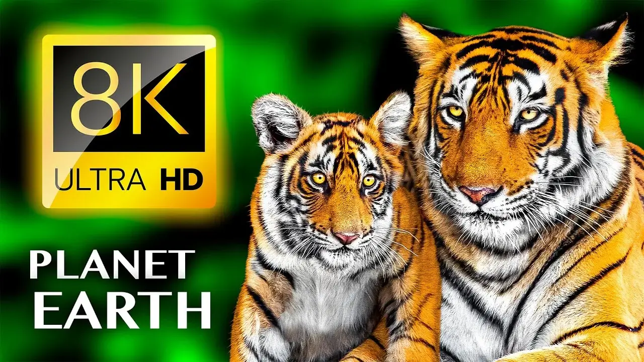 The Best Of PLANET EARTH 8K ULTRA HD