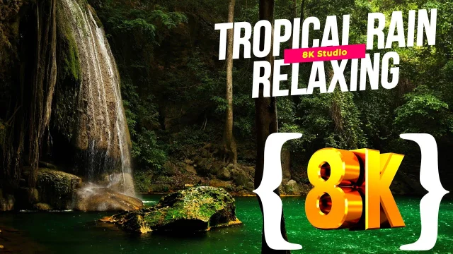 8k video TROPICAL RAIN Sounds Relaxing Nature Video 60 Fps ULTRA HDR