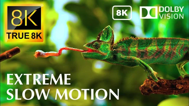 Extreme Slow Motion in 8K Video Ultra HD 120 FPS TRUE 8K