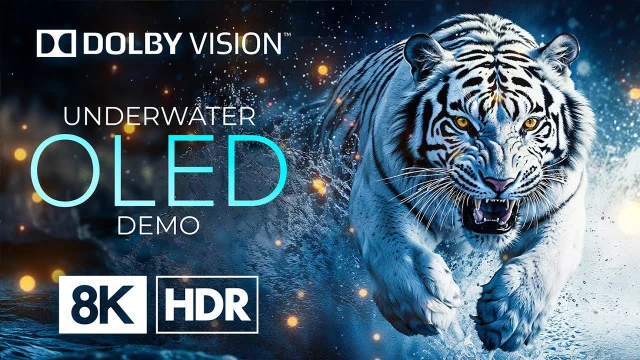 OLED 8K HDR 60fps with Dolby Vision - Amazing Colors of Nature