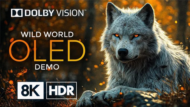 OLED 8K HDR 60fps with Dolby Vision –  Most Beautiful Places in the World