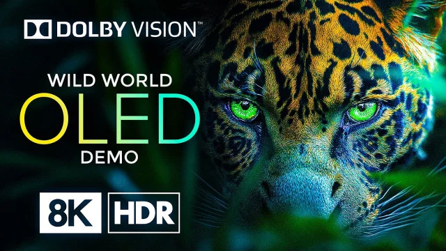 OLED 8K HDR 60fps with Dolby Vision – Wonders of the World