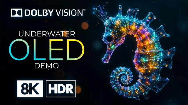 UNDERWATER WORLD with 8K HDR Dolby Vision (60FPS)