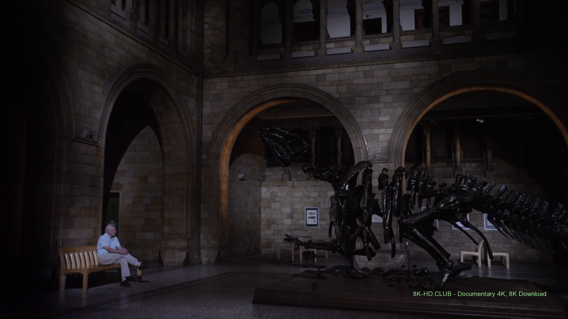 David Attenborough's Natural History Museum Alive 2014 big poster