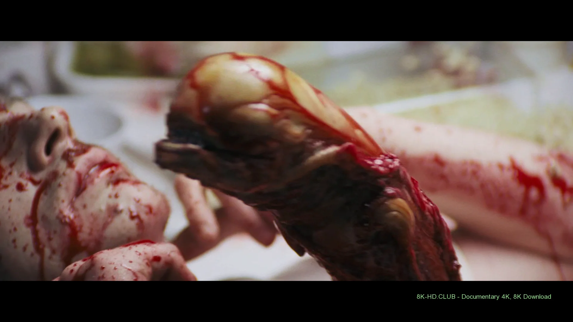 Memory: The Origins of Alien 2019 big poster