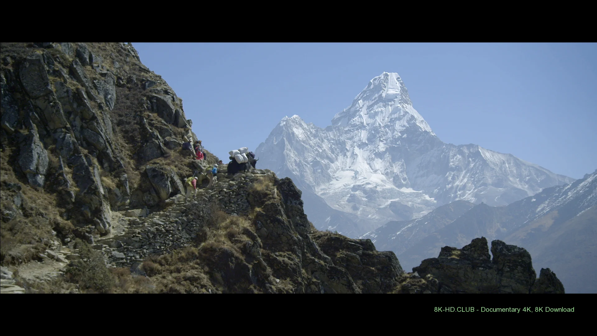 Sherpa 2015 big poster