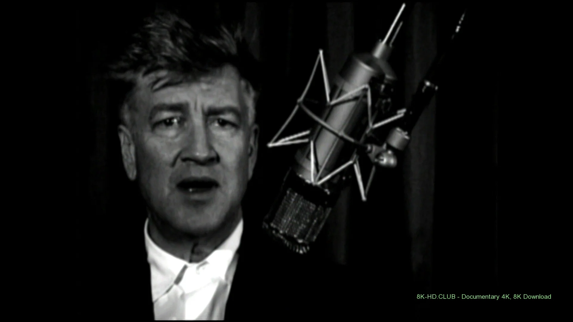 The Short Films of David Lynch 2002 big poster