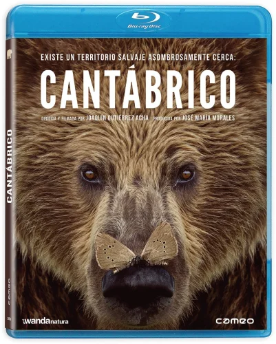Cantábrico 2017