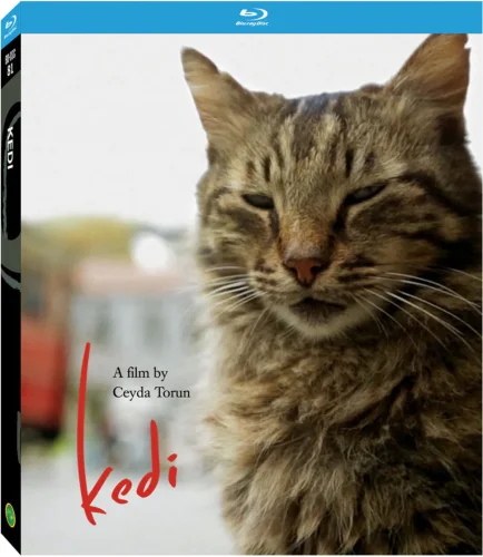 Kedi 2016
