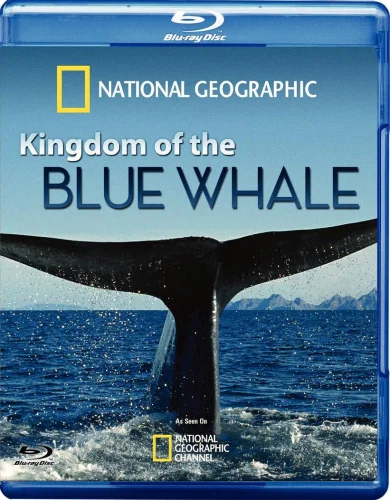 Kingdom of the Blue Whale 2009