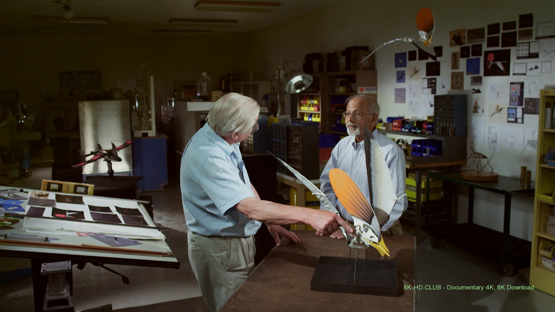 Flying Monsters with David Attenborough 2011 big poster
