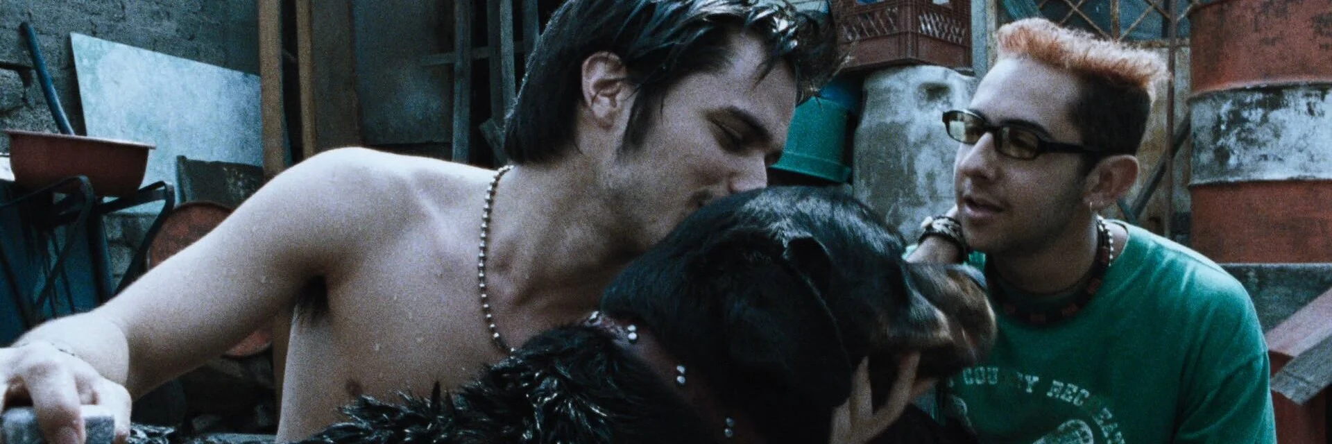 Amores Perros 4K 2000 big poster