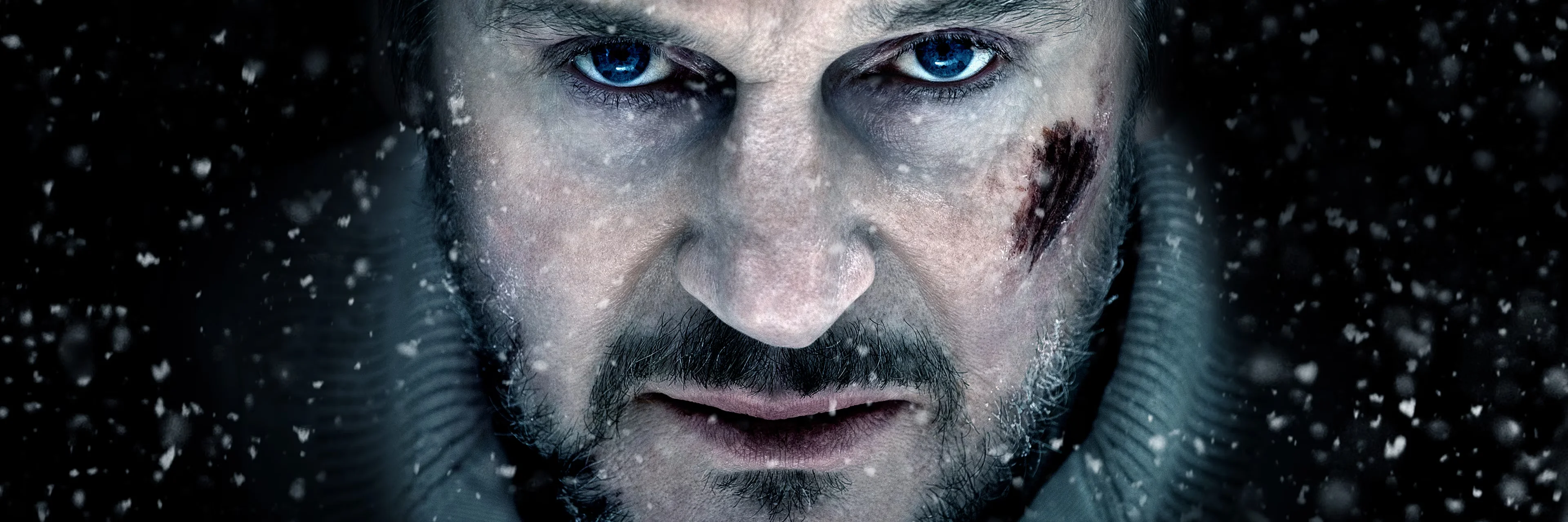 The Grey 4K 2011 big poster