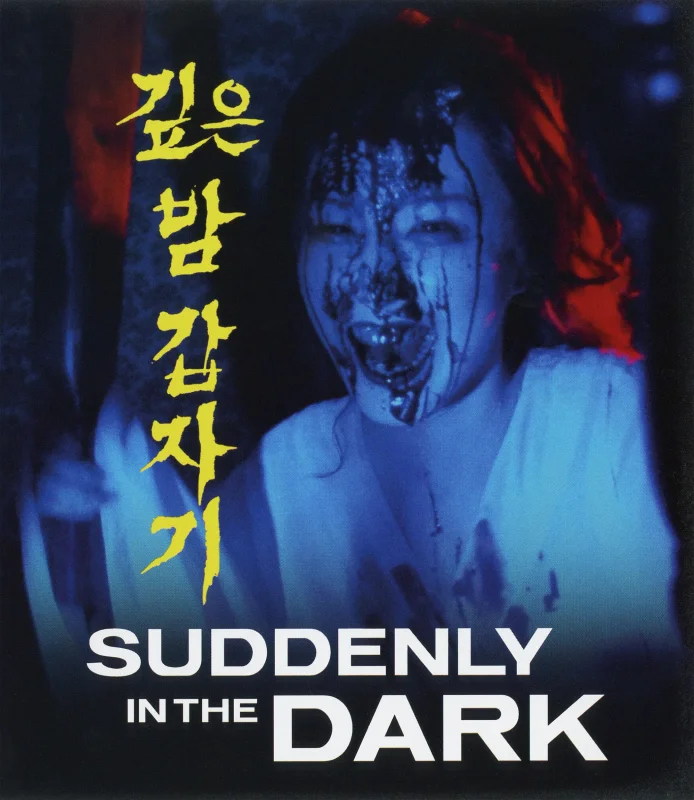Movie Poster: Suddenly in the Dark 4K 1981