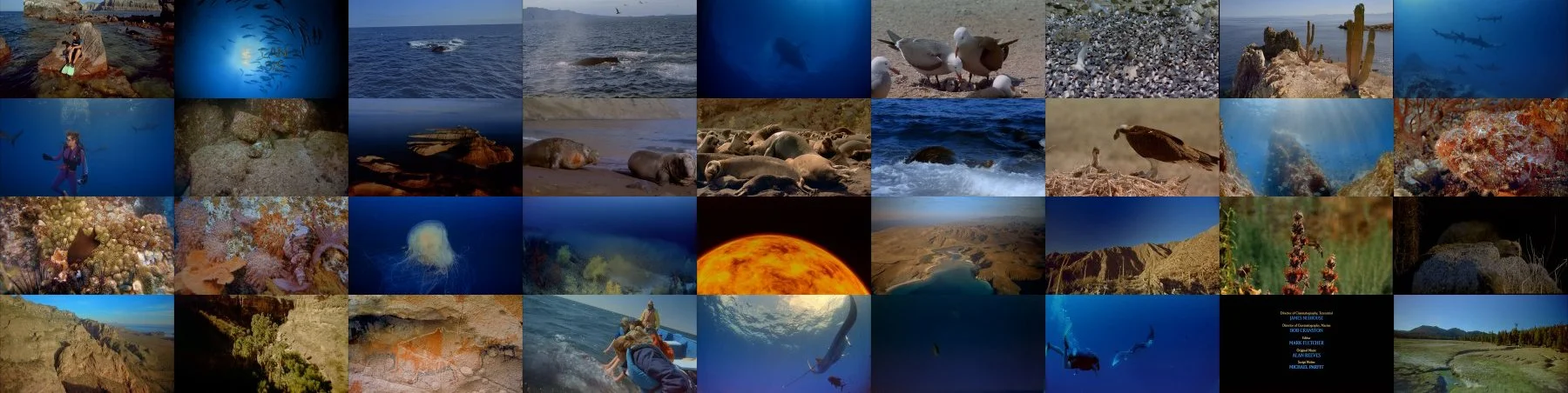 Movie Big Poster: Ocean Oasis 2000